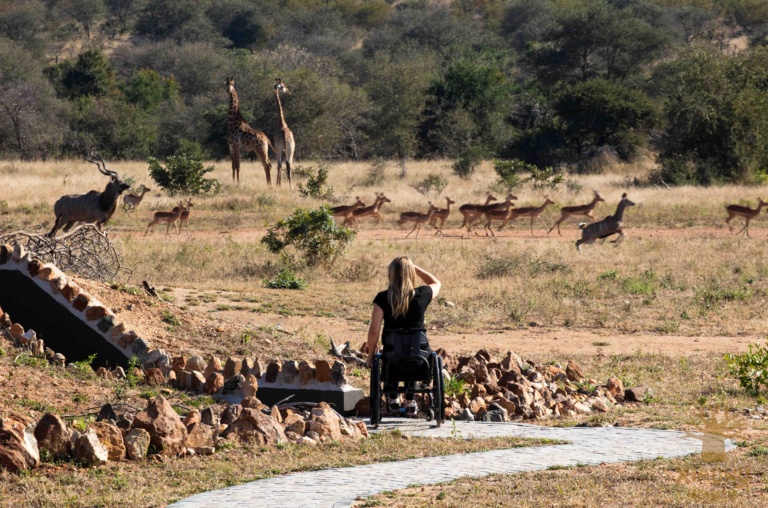 best holiday destination for wheelchair users, safari